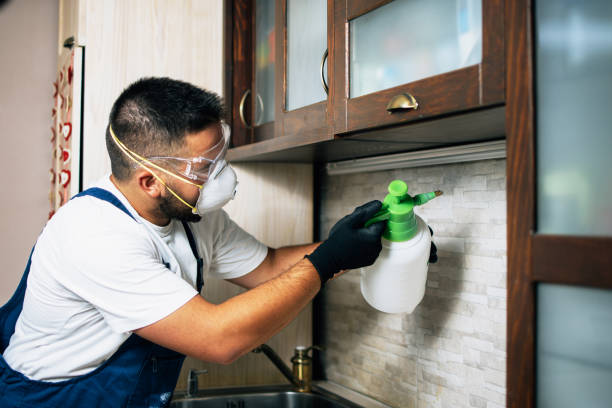 Best Local Pest Control Services  in Midfield, AL
