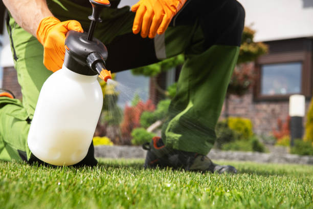 Best Pest Control Near Me  in Midfield, AL