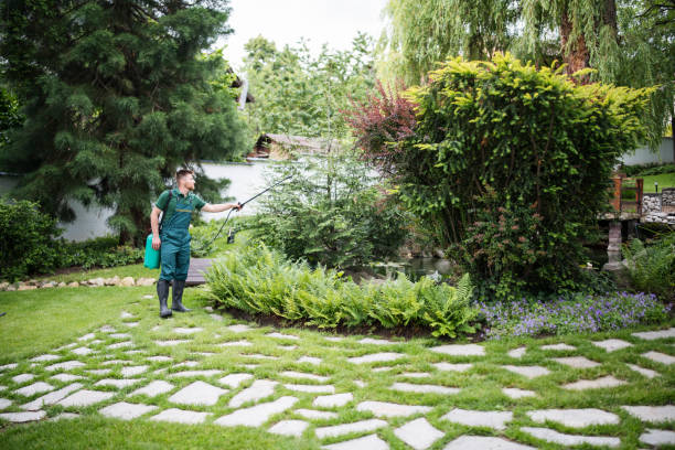 Best Pest Control Treatment  in Midfield, AL