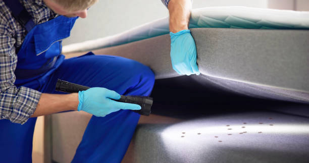 Best Mosquito Control Services  in Midfield, AL