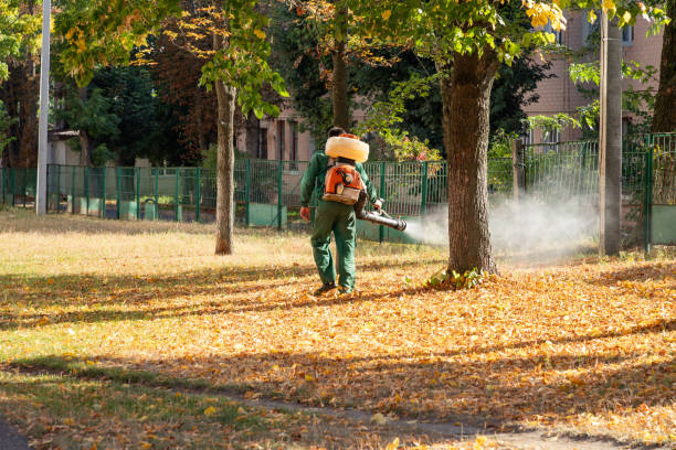 Best Commercial Pest Control Services  in Midfield, AL